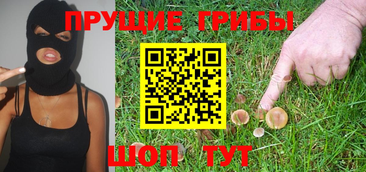 Галлюциногенные грибы Psilocybine cubensis  Вход с VPN  Каменка  Псилоцибиновые грибы Psilocybine cubensis 